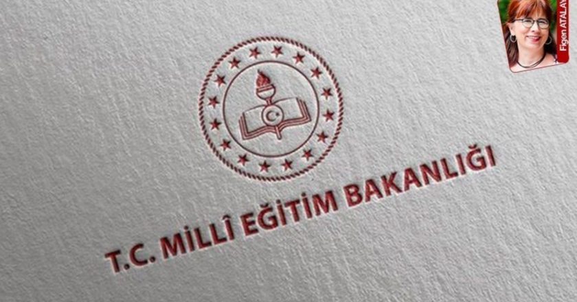 TEDMEM, ÖMK ve Milli Eğitim Akademisi hakkında rapor hazırladı – Son Dakika Eğitim Haberleri