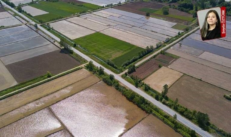 Helal inşaat yargıya sıkıştı – Son Dakika Çevre Haberleri