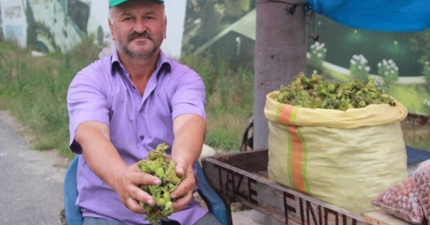 Ordu tezgahlarında taze fındık: Kilosu 100 TL – Son Dakika Hayat Haberleri