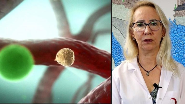 BATI NİL VİRÜSÜ NEDİR? Belirtileri nelerdir, nasıl bulaşır? – Sağlık haberleri