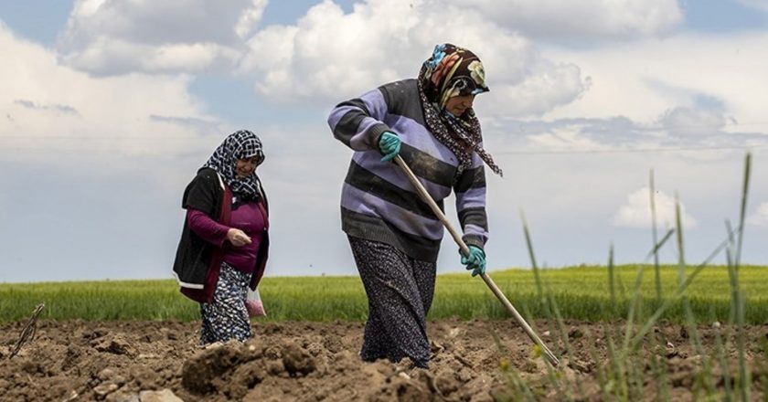 “Çiftçinin arazi ihtiyacından çok girdi maliyetlerini düşürmesi gerekiyor” – Son Dakika Türkiye Haberleri