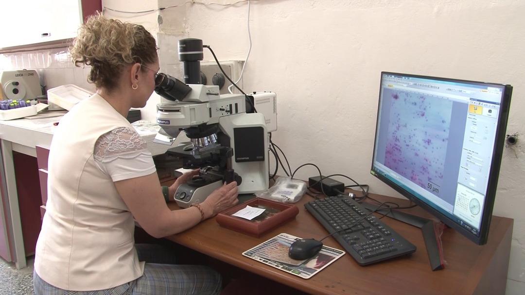 İnsanlık için önemli bir buluş! Arı sütü mucizesi: İnfertiliteyi iyileştirebilir! Çalışma Amerika'da yayınlandı ... 6