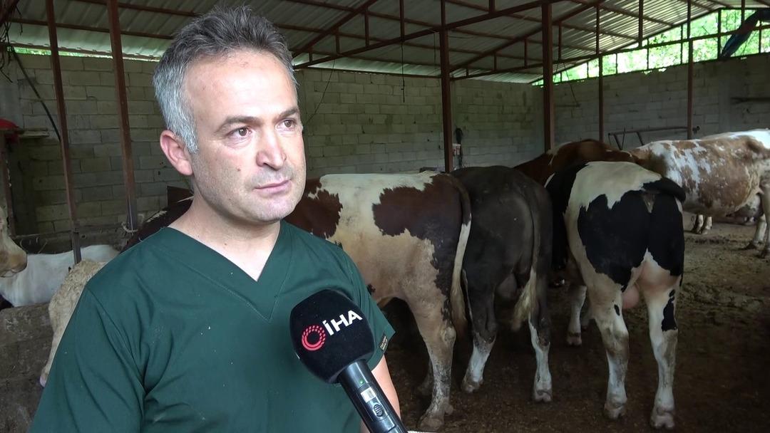 İnsanlık için önemli bir buluş! Arı sütü mucizesi: İnfertiliteyi iyileştirebilir! Çalışma Amerika'da yayınlandı ... 4