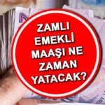 Emeklilik Emeklilik Temmuz Temmuz 2025 tarihli (tahsis numarasına göre) | Temmuz ayında emeklilik farkı yatacak ne zaman ay içinde ne verilecek? SSK, Boğkur, emeklilik fonu emeklilik maaşında artış verilecek mi?