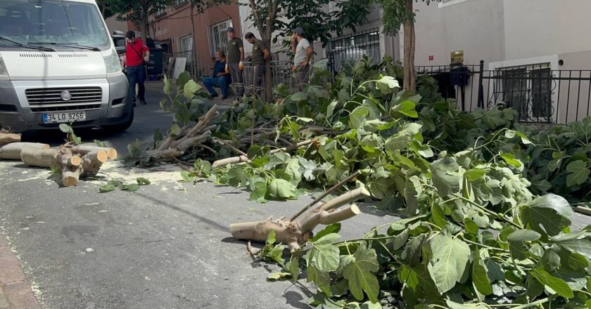 İstanbul’da Fırtına: Yoktu Ağaçlar, İki Kişi Yaralandı