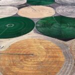 Tarım Ürünlerinin Depolama Süreleri Artırıldı